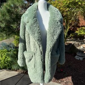 Cotton Candy Plush Teddy Coat in Sage
